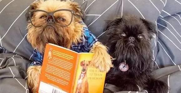 20221106162809_65581 20221106162809_65581