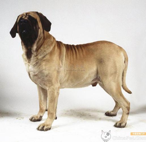 20221106163946_48968