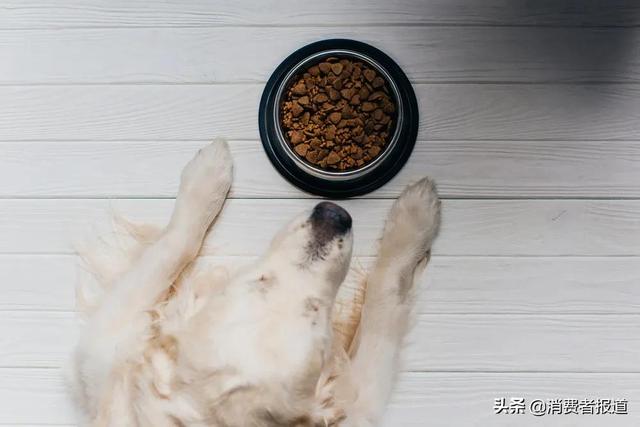 20221106164558_76059