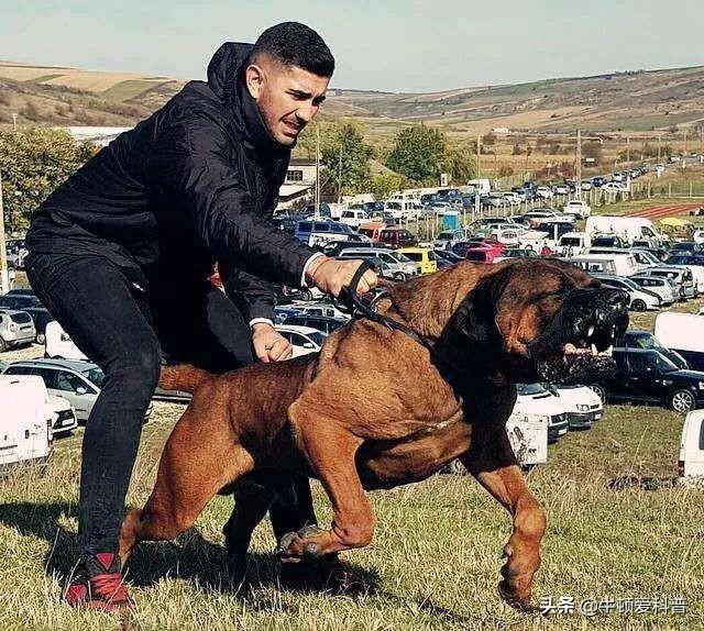 20221106165308_66883