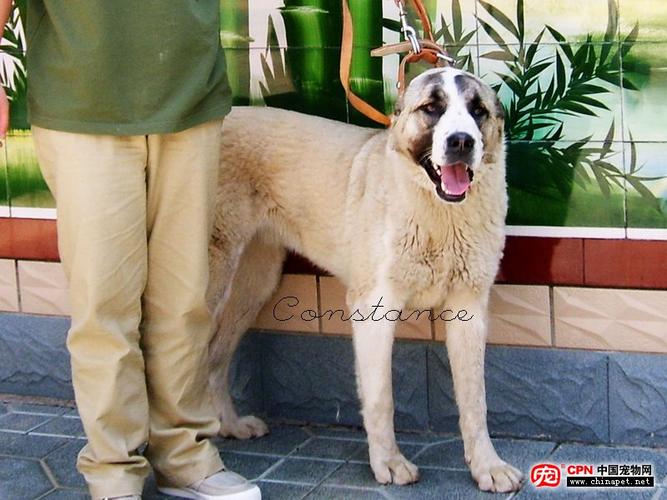 20221106165838_90924