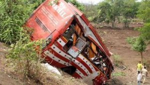朝鲜丰山犬(朝鲜丰山犬打斗 *** )-警犬训练器材厂家 _警犬训练用品_工作犬训练用品-南京开久警犬装备