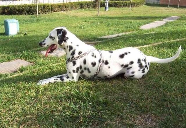 20221106173905_31785