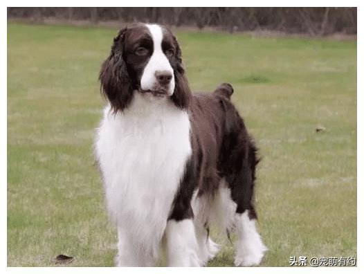 20221106174131_15419