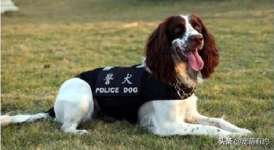 20221106174131_44520