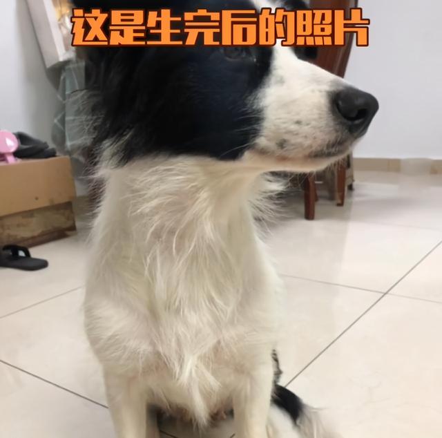 20221106180252_90994