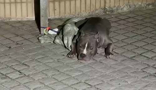 20221106180843_30747