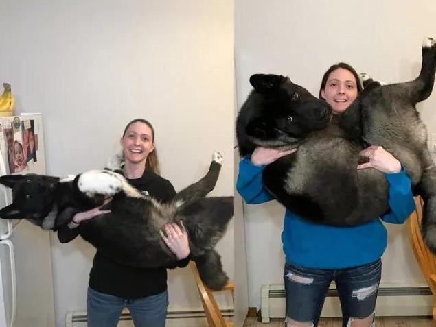 20221106180944_33019