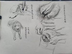 如何让狗狗进入？如何让狗狗坐下-警犬训练器材厂家 _警犬训练用品_工作犬训练用品-南京开久警犬装备