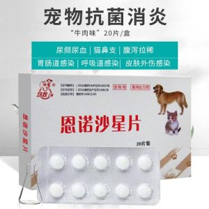 狗狗发烧吃什么药？狗狗发烧吃什么药-警犬训练器材厂家 _警犬训练用品_工作犬训练用品-南京开久警犬装备