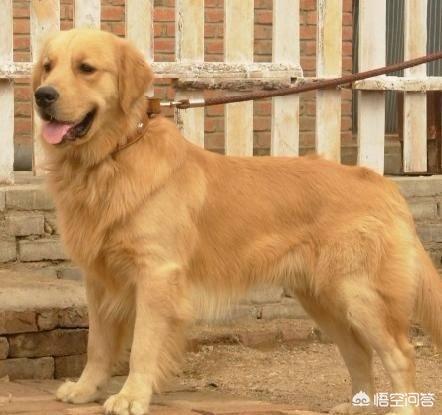 20221106183038_99761