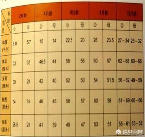 金毛狗金毛狗多少钱一只的简单介绍萌宠-警犬训练器材厂家 _警犬训练用品_工作犬训练用品-南京开久警犬装备