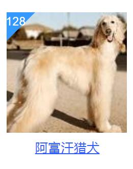 20221106184137_14540