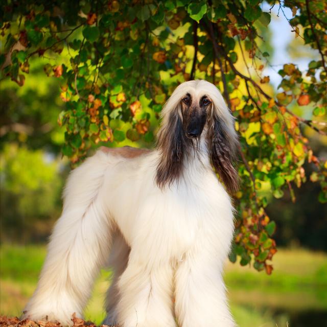 20221106184137_46809