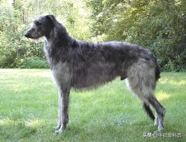 20221106185546_23327