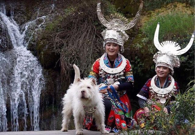 20221106190325_29649