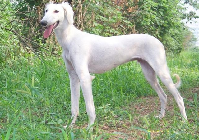 20221106190326_35183