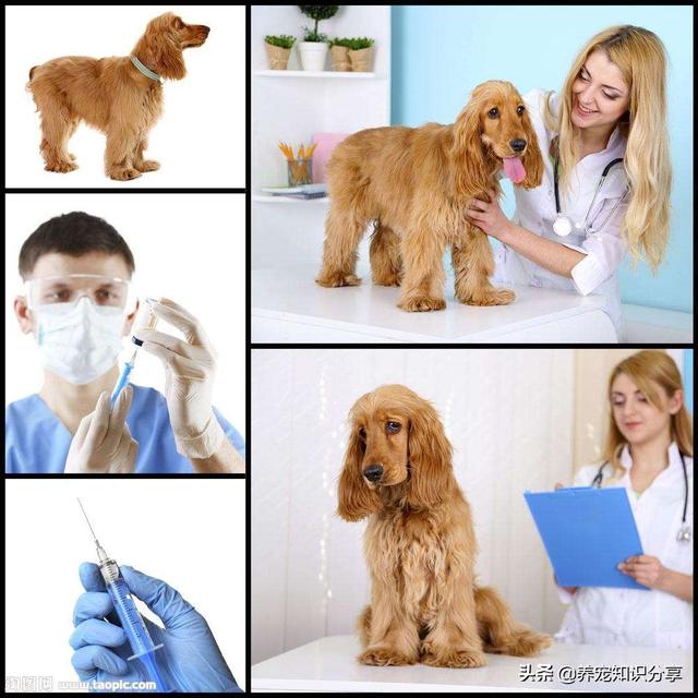 20221106191149_68335 20221106191149_68335