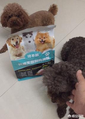 20221106192349_91572