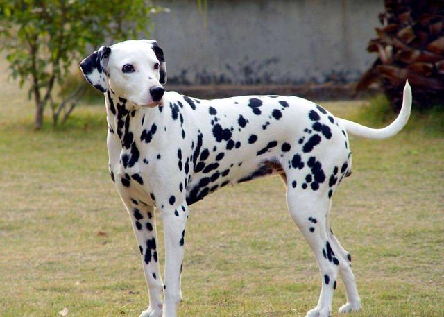 20221106194039_17797 20221106194039_17797