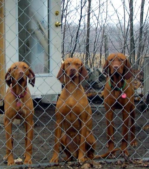 20221106195613_48727 20221106195613_48727