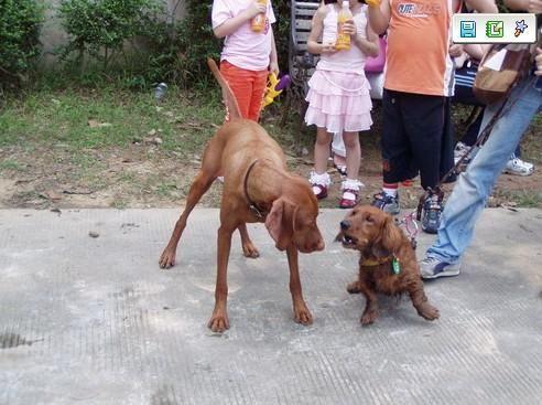 20221106195614_12751 20221106195614_12751