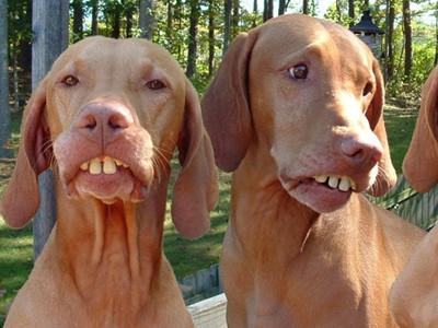 20221106195614_94552 20221106195614_94552