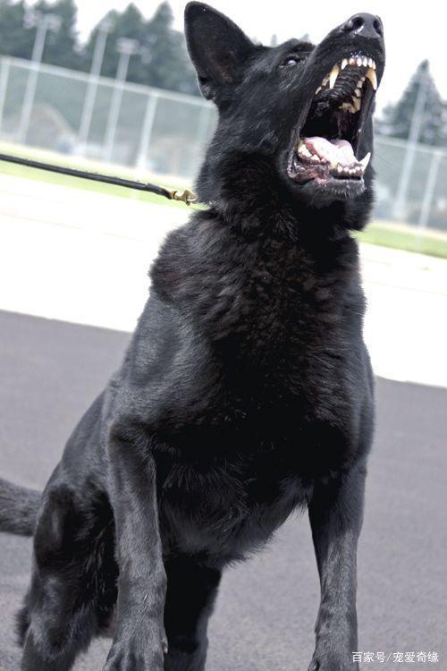 20221106200657_89685 20221106200657_89685