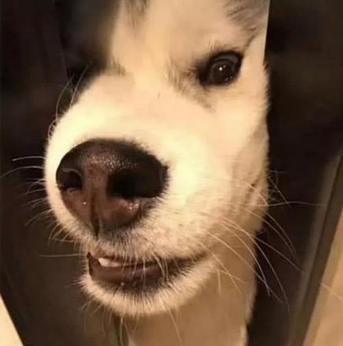 20221106200807_16528 20221106200807_16528