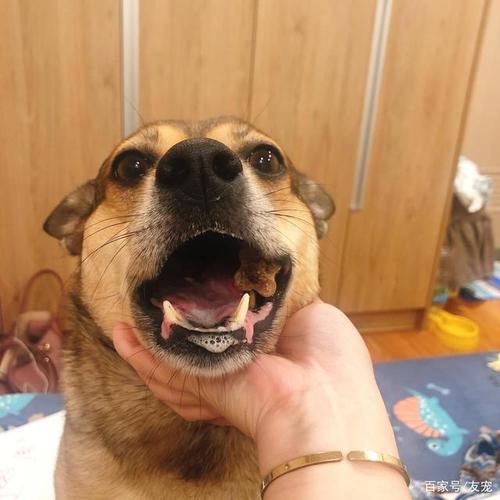 20221106200808_26165 20221106200808_26165