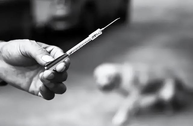 20221106201708_66483