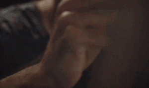 导盲犬咬人案例，导盲犬咬人案例多不多-警犬训练器材厂家 _警犬训练用品_工作犬训练用品-南京开久警犬装备