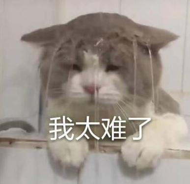 20221106202407_89636