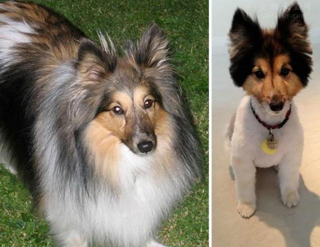 20221106202408_80612