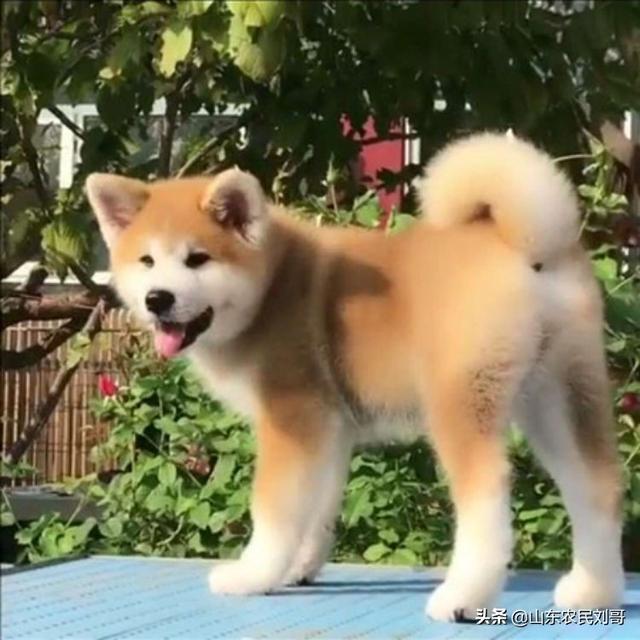 20221107082655_79231 20221107082655_79231