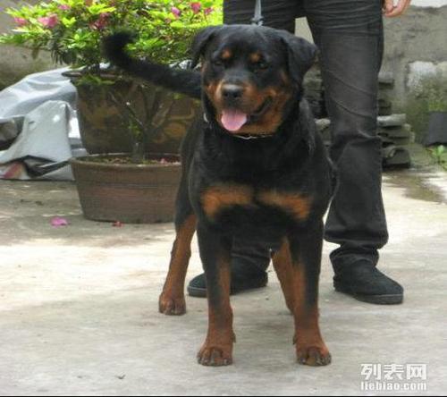 20221107083252_42989 20221107083252_42989