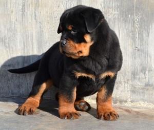 20221107083252_78775 20221107083252_78775