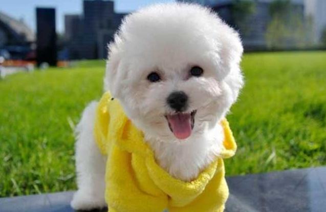 20221107092138_54287