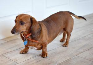 20221107092531_28797