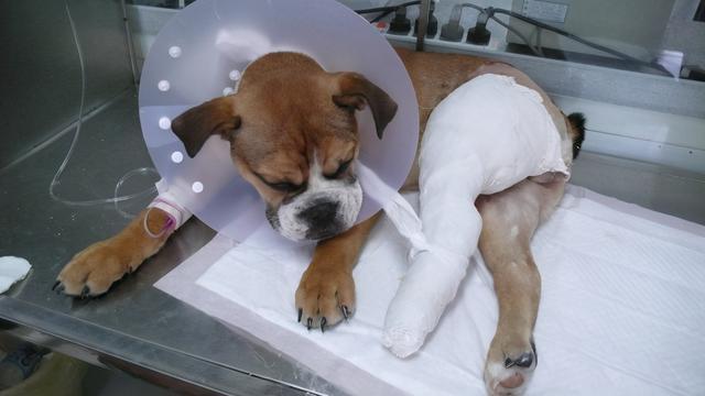 20221107093409_44249 20221107093409_44249