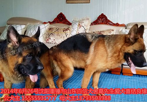 20221107093800_84345