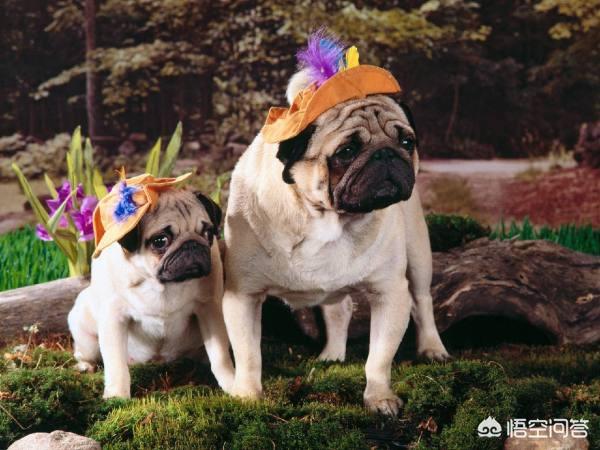 20221107094505_20803 20221107094505_20803