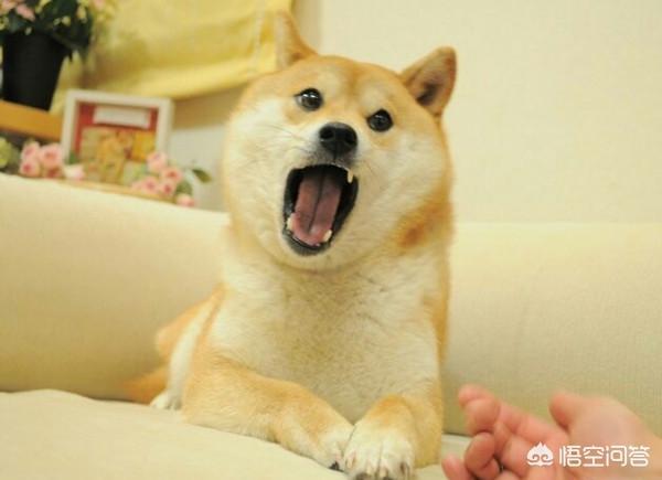 20221107094505_63827 20221107094505_63827