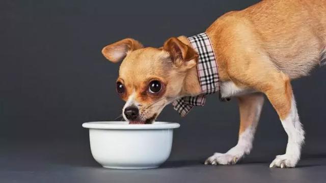 20221107094829_81191 20221107094829_81191