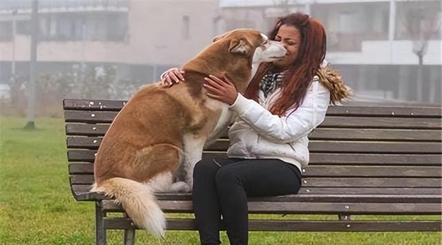 20221107095347_92028