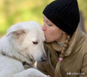 狗死后会去哪里(狗死后会去哪里呀)-警犬训练器材厂家 _警犬训练用品_工作犬训练用品-南京开久警犬装备