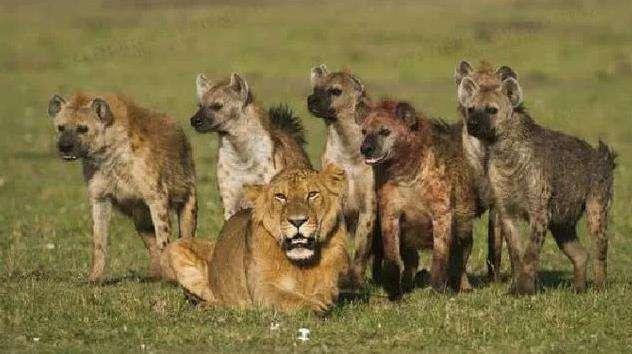 20221107100536_73427