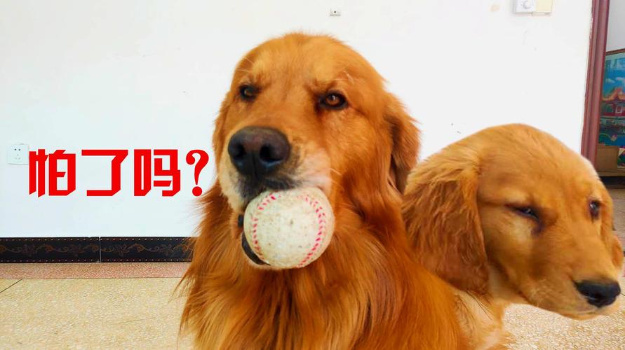 20221107100933_43617