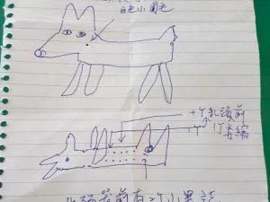 寻狗启事(寻狗启事标准范文)-警犬训练器材厂家 _警犬训练用品_工作犬训练用品-南京开久警犬装备