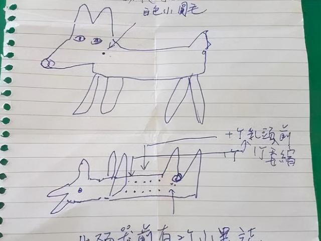 寻狗启事(寻狗启事标准范文) - 警犬训练器材厂家 _警犬训练用品_工作犬训练用品-南京开久警犬装备-警犬训练器材厂家 _警犬训练用品_工作犬训练用品-南京开久警犬装备